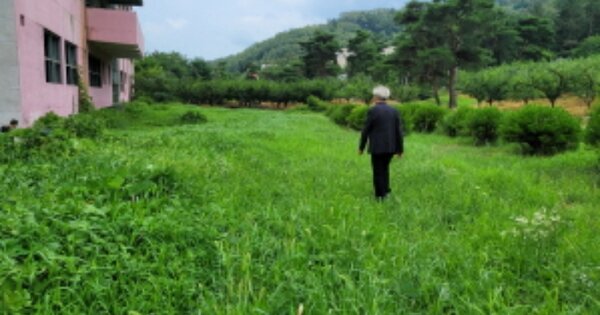 경상북도 경산시 와촌면 신한리 OOO O OOO 전 경매 물건 이미지