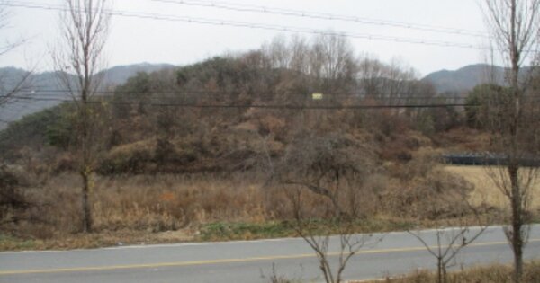충청남도 금산군 부리면 수통리 OOOOO 전 경매 물건 이미지