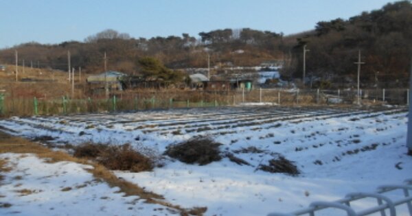 세종특별자치시 부강면 노호리 OOOOO 전 경매 물건 이미지