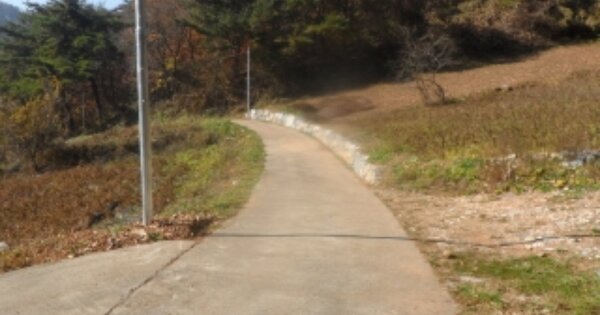 강원도 평창군 미탄면 기화리 OO 전 경매 물건 이미지