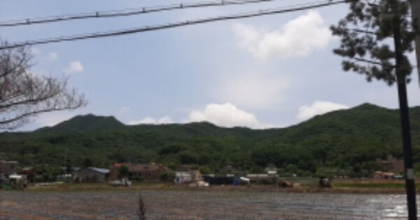 인천광역시 강화군 화도면 상방리 OOOOOO 임야 경매 물건 이미지