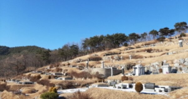 인천광역시 강화군 양도면 길정리 OOOOOO 임야 경매 물건 이미지