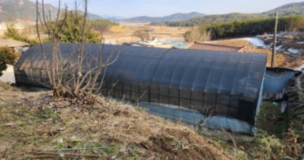 전라북도 고창군 해리면 송산리 OOO 대지 경매 물건 이미지