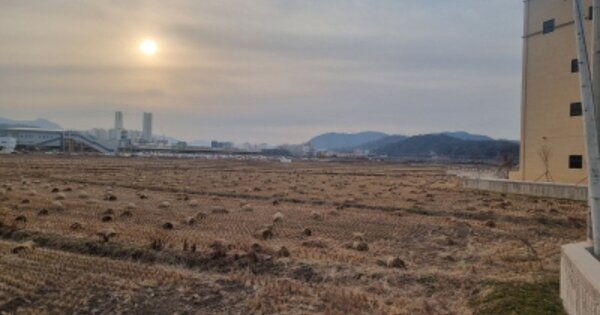 전라북도 정읍시 연지동 OOOOOO 답 경매 물건 이미지