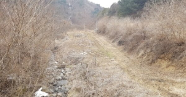 강원도 화천군 하남면 거례리 OOO 답 경매 물건 이미지