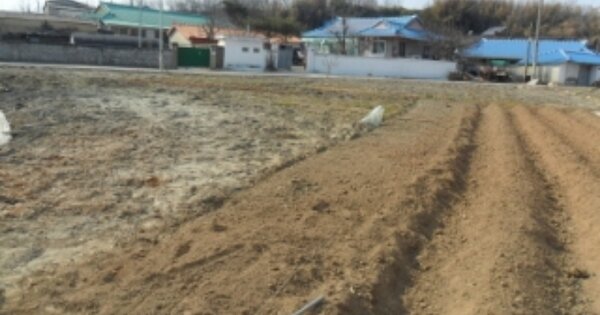 전라북도 부안군 백산면 용계리 OOOOO 답 경매 물건 이미지