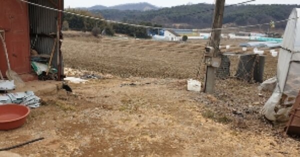 충청남도 홍성군 결성면 형산리 OO 전 경매 물건 이미지