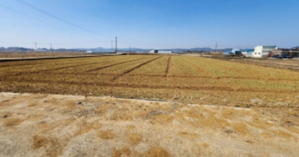 전라북도 익산시 함라면 다망리 OOOOOO 답 경매 물건 이미지