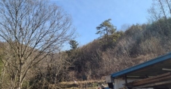 전라남도 장성군 북하면 대흥리 OOO 임야 경매 물건 이미지