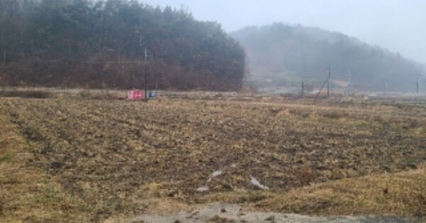 전라남도 나주시 문평면 계로리 OOO O OOO 답 경매 물건 이미지