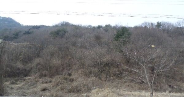 전라북도 무주군 적상면 괴목리 OOOOOO 임야 경매 물건 이미지
