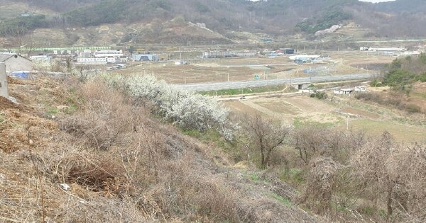 경상북도 청도군 화양읍 삼신리 OOOOOO 임야 경매 물건 이미지