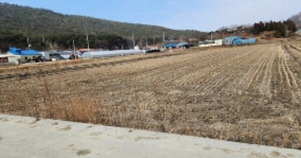 충청남도 보령시 웅천읍 황교리 OOOOO O OOO 답 경매 물건 이미지