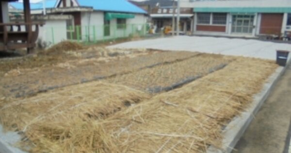 충청남도 논산시 연산면 연산리 OOOOOO O OOO 답 경매 물건 이미지