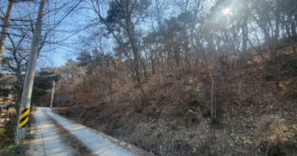 전라북도 전주시 완산구 삼천동3가 OOOOOO 임야 경매 물건 이미지