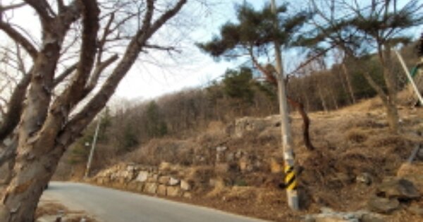 경기도 양평군 서종면 노문리 OOOOOO O OOO 임야 경매 물건 이미지