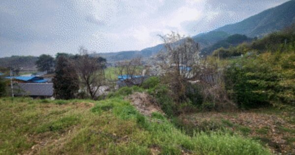 전라북도 임실군 지사면 안하리 OOO 대지 경매 물건 이미지