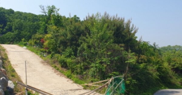 경기도 양평군 강상면 신화리 OOOOOO O OOO 임야 경매 물건 이미지