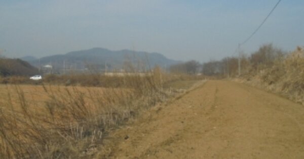 충청북도 청주시 청원구 오창읍 복현리 OOO O OOO 답 경매 물건 이미지