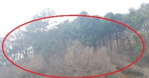 강원도 화천군 사내면 삼일리 OOO 전 경매 물건 이미지