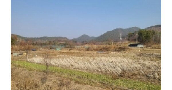 전라남도 화순군 동복면 구암리 OOOOO 전 경매 물건 이미지