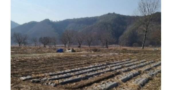 전라남도 화순군 동복면 한천리 OOOOOO 전 경매 물건 이미지