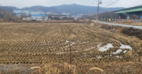 충청남도 아산시 음봉면 원남리 OOOOO O OOO 답 경매 물건 이미지