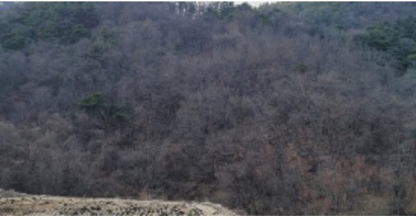 경상북도 칠곡군 약목면 관호리 OOO 전 경매 물건 이미지