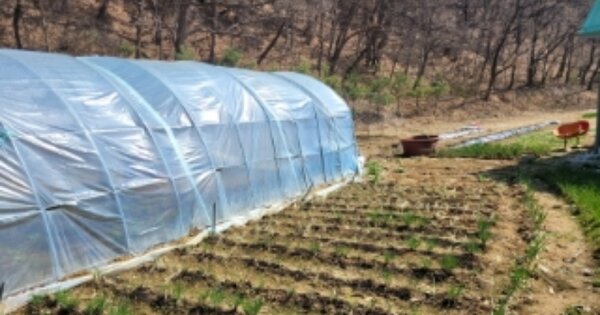 충청남도 아산시 배방읍 세교리 OOO 전 경매 물건 이미지