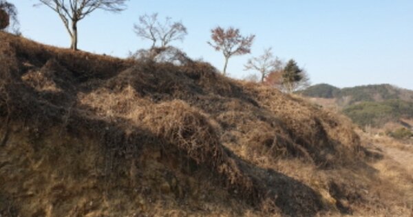 경상남도 거창군 남하면 무릉리 OOO O OOO 임야 경매 물건 이미지