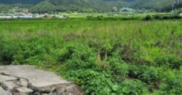 경상남도 거제시 사등면 오량리 OOOOOO 답 경매 물건 이미지