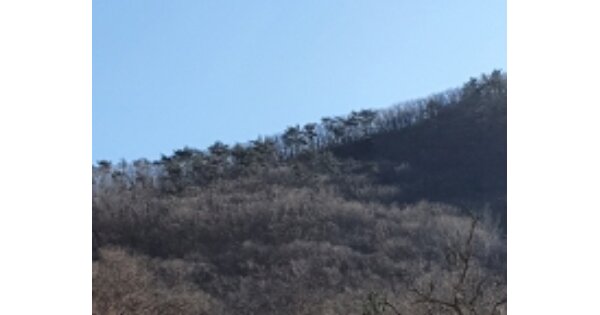 부산광역시 기장군 철마면 장전리 OOOOOOO 임야 경매 물건 이미지