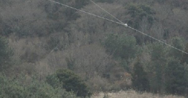 전라남도 여수시 남면 심장리 OOO 전 경매 물건 이미지