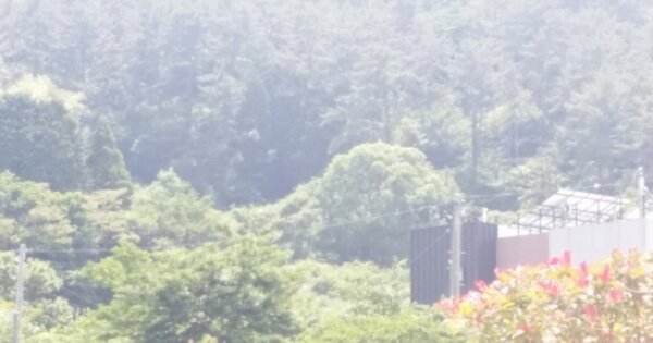 경상남도 거제시 하청면 석포리 OOO 전 경매 물건 이미지