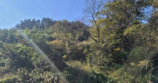 경상남도 거제시 둔덕면 상둔리 OOO 답 경매 물건 이미지