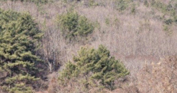 경상남도 통영시 광도면 죽림리 OOOOOO O OOO 전 경매 물건 이미지