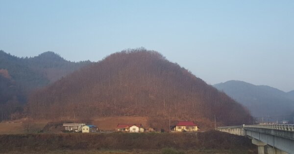 경상북도 안동시 일직면 원호리 OOOOOO 임야 경매 물건 이미지