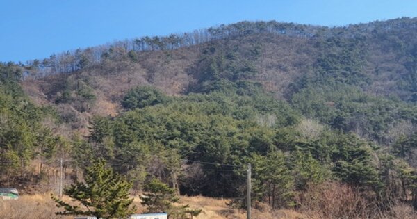 경상남도 창원시 마산합포구 진북면 인곡리 OOO 임야 경매 물건 이미지
