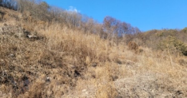 경상북도 봉화군 명호면 관창리 OOO O OOO 전 경매 물건 이미지