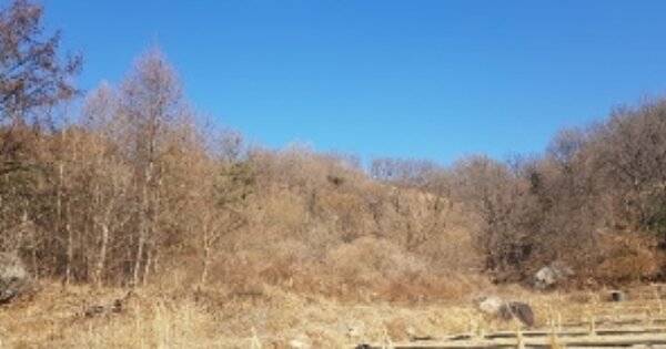 경상북도 안동시 북후면 연곡리 OOO 전 경매 물건 이미지