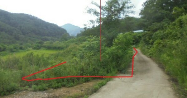 충청북도 제천시 수산면 하천리 OOOOO 답 경매 물건 이미지