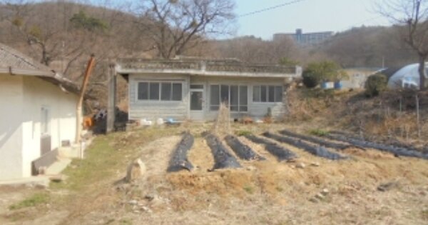 충북 충주시 앙성면 돈산리 OOOOO 대지 경매 물건 이미지