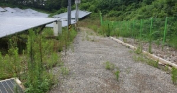 충청북도 단양군 매포읍 우덕리 OOOOO O OOO 도로 경매 물건 이미지
