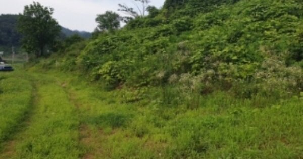 충청북도 단양군 영춘면 사이곡리 OOO 전 경매 물건 이미지