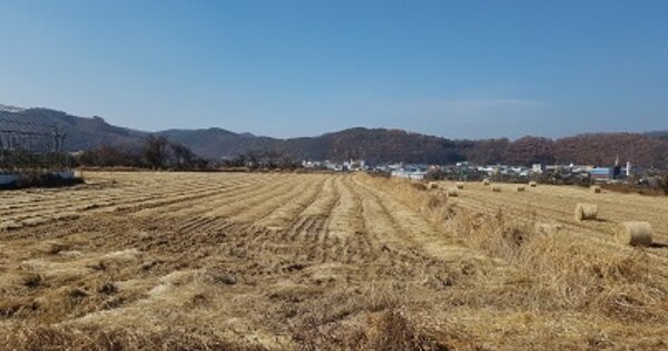 경상북도 청송군 안덕면 장전리 OOO 답 경매 물건 이미지