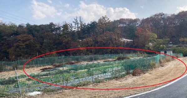 충청북도 제천시 봉양읍 장평리 OOOOO O OOO 답 경매 물건 이미지