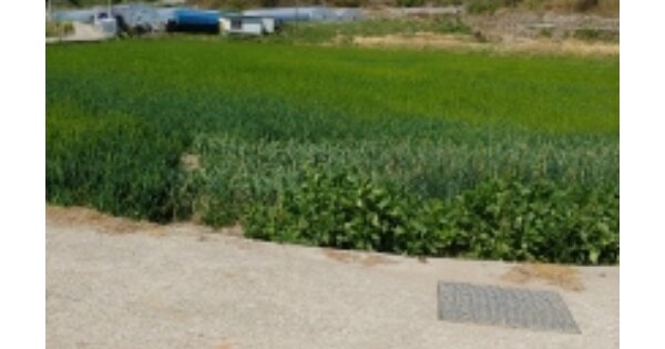 경상남도 고성군 하일면 학림리 OOOOO 답 경매 물건 이미지