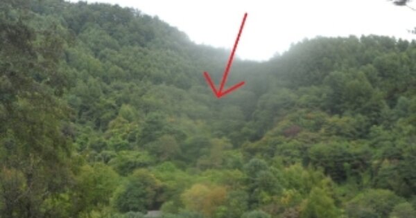 강원도 평창군 평창읍 향동리 OOO 전 경매 물건 이미지