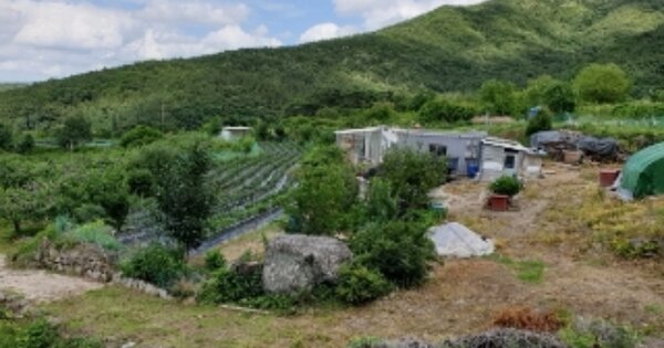 경상북도 경주시 서면 천촌리 OOOO 전 경매 물건 이미지