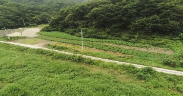 경상북도 김천시 대덕면 조룡리 OOOOO 답 경매 물건 이미지